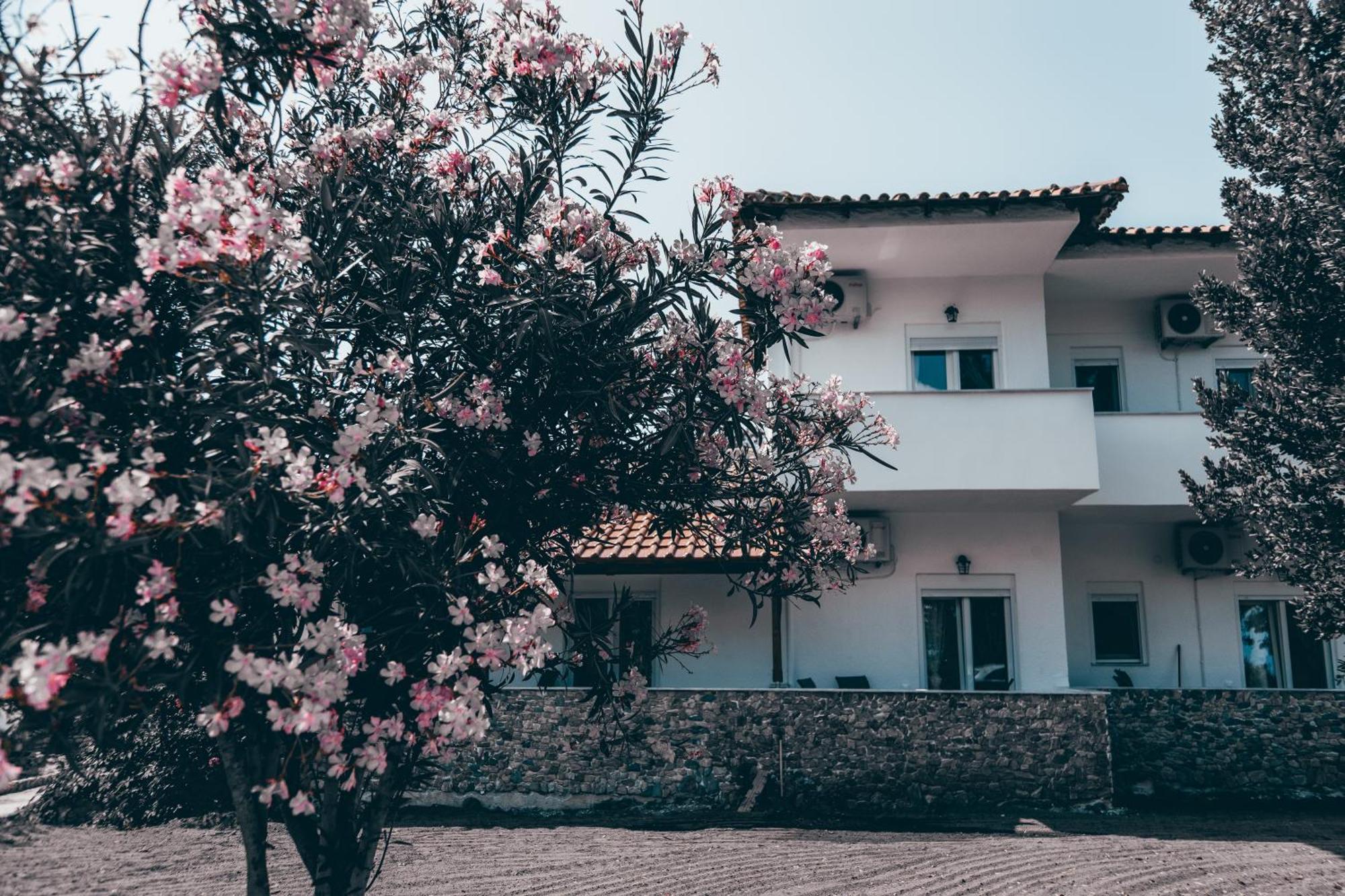 Villa Theano 2 Торони Экстерьер фото
